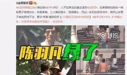 爆料河北密访视频大全,视频大全背后的真相与内幕