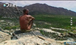 单挑荒野在线观看,生存挑战极限，勇者无畏对决