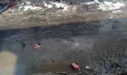 焦作武陟爆料事件视频,视频揭露惊人真相